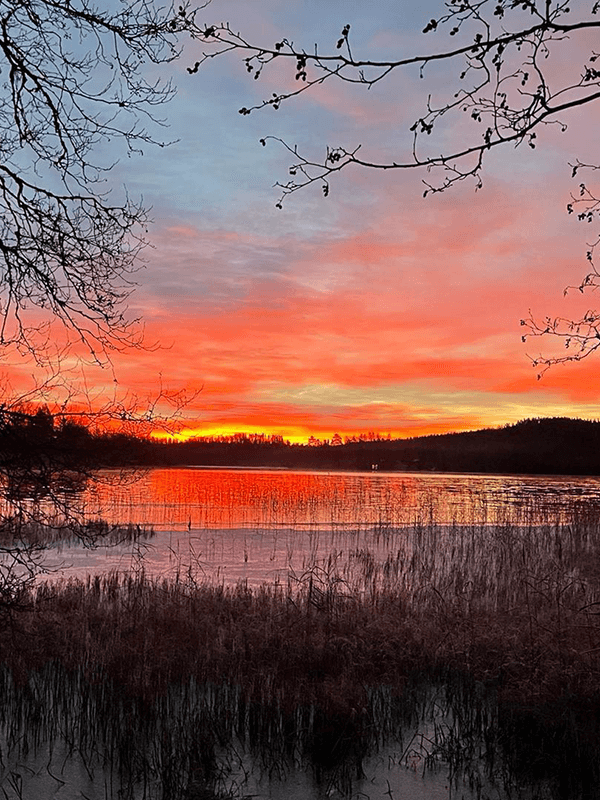 ferienhaus_schweden_start_09 sauna
