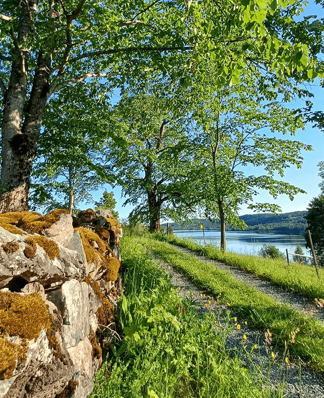 mountainbike_strecke