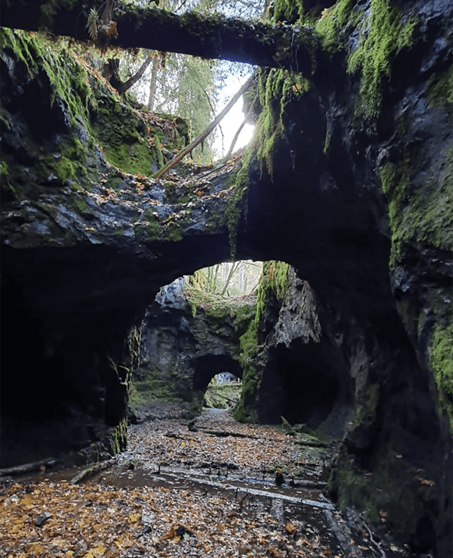 wandern im naturreservat